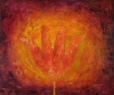 Tulipa carota / 2008 olej 75 x 90 cm